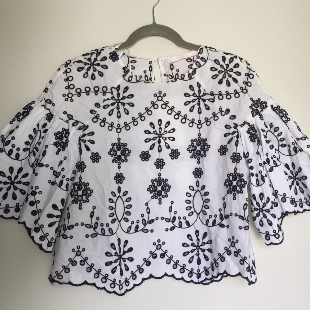 Brand New Embroidered Zara Top